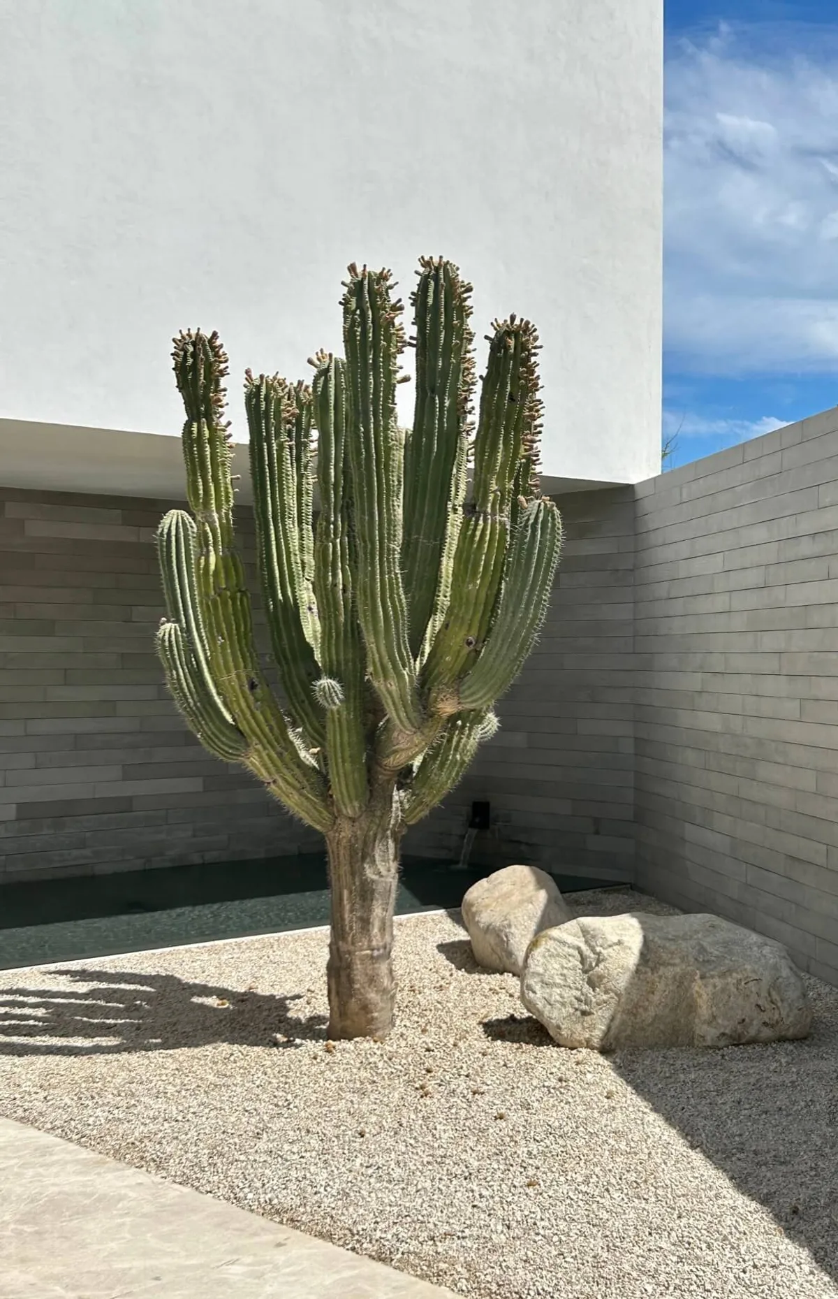 Duela de Concreto Los Cabos — imagen 6